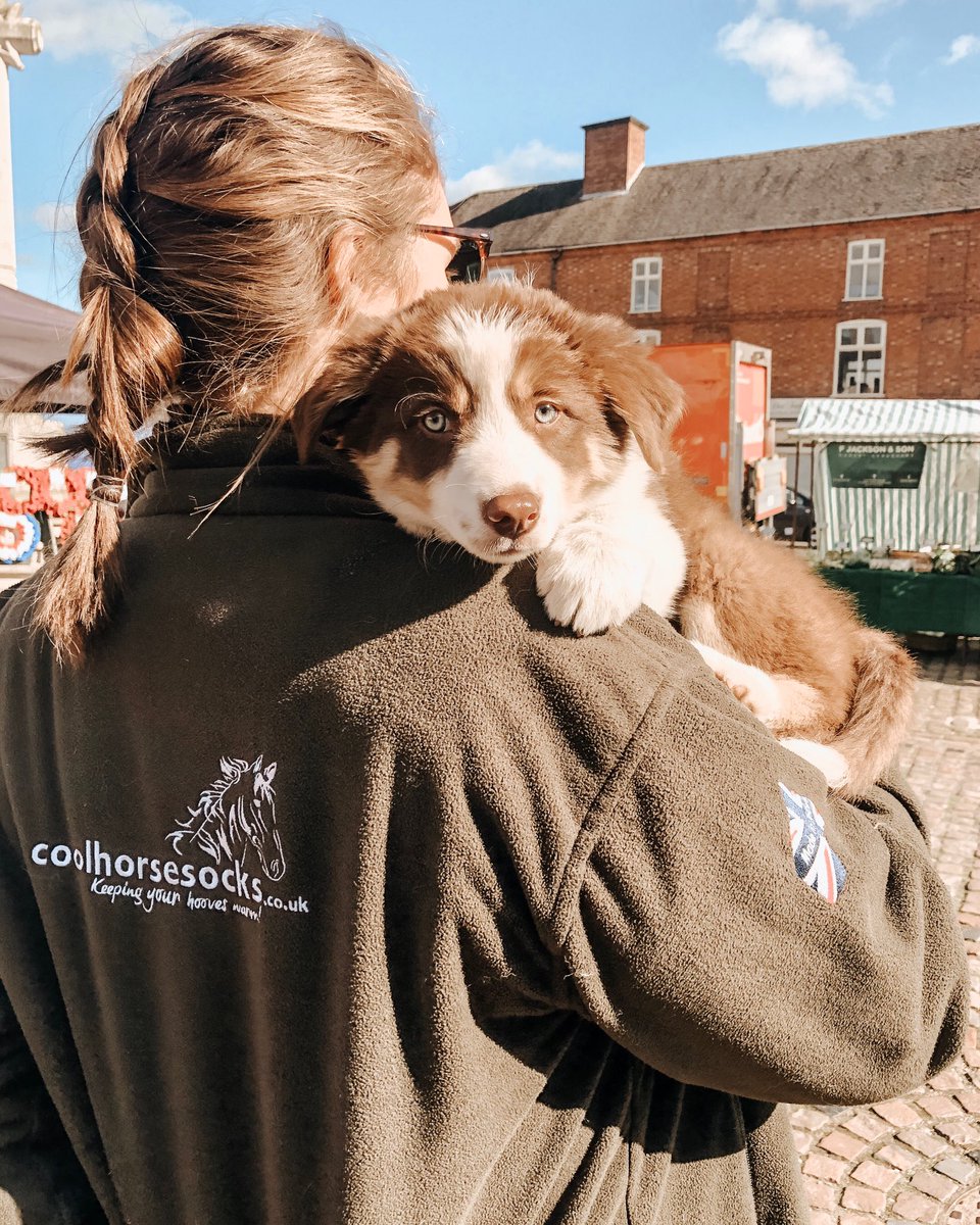 coolhorsesocks2's tweet photo. ☀️ Sunny Sunday’s off can only mean a visit to the farmers market with the newest member of the team #coolhorsesocks https://t.co/dY7kweB4Pa