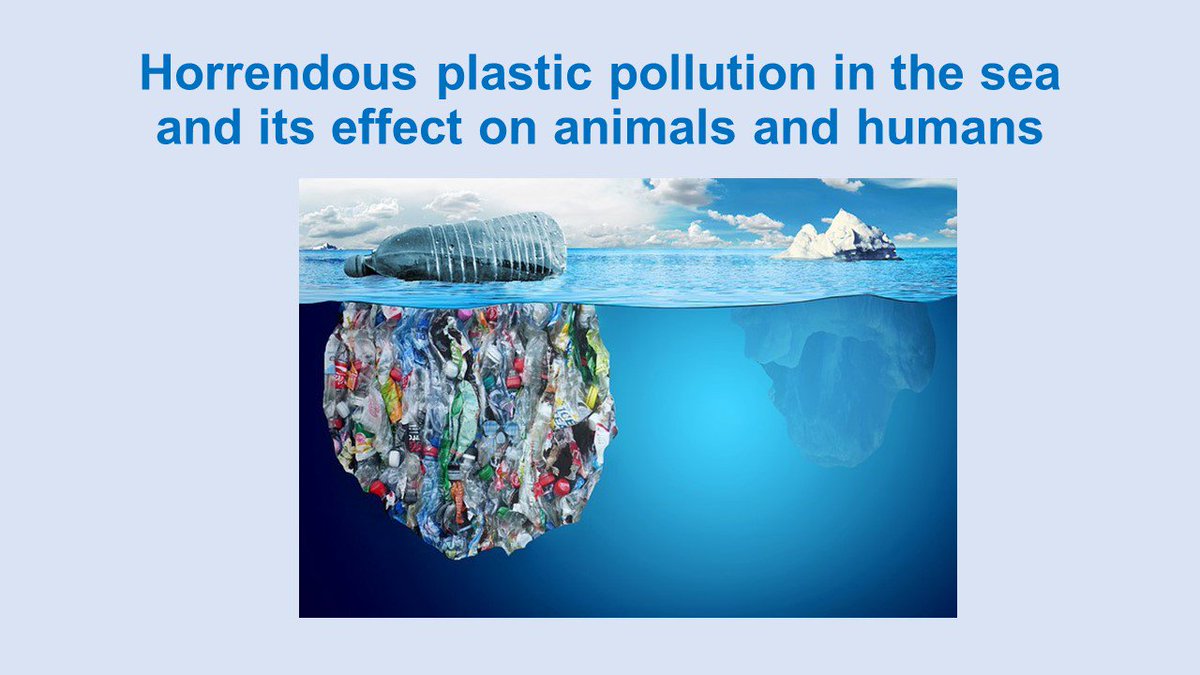 KickPlasticOut's tweet photo. Who do we save? The sea or us or the animals? The decision is yours save the world - no to plastic bags https://t.co/R5fkrqTb4L