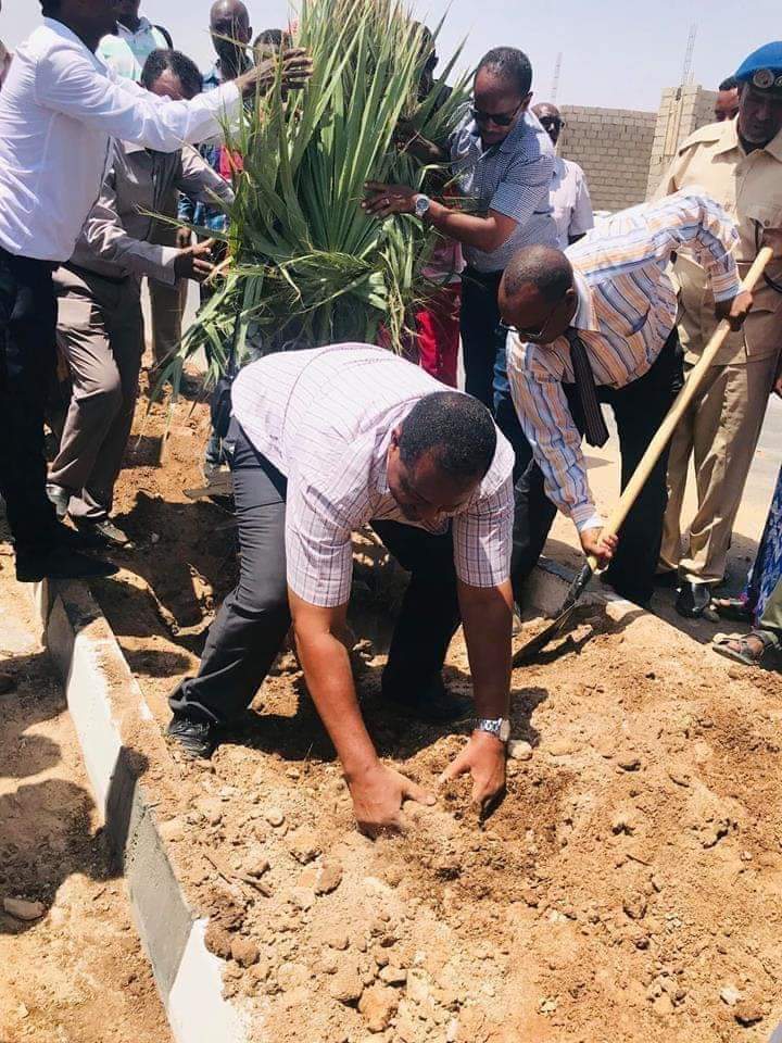 JokarMaxamed's tweet photo. #Somaliland
The Mayor of Berbera,Somaliland Mr Abdishakur planting to his hands trees the streets of berbera city Congratulations.We need green and clean cities. https://t.co/aATwxiZ8dM https://t.co/spOSElqego