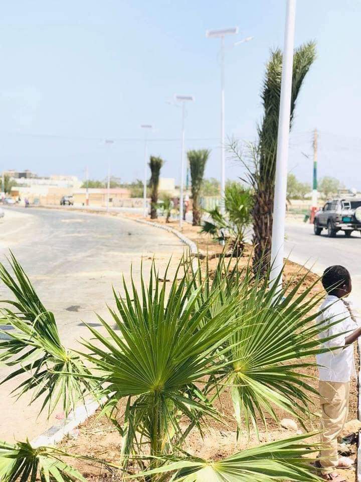 JokarMaxamed's tweet photo. #Somaliland
The Mayor of Berbera,Somaliland Mr Abdishakur planting to his hands trees the streets of berbera city Congratulations.We need green and clean cities. https://t.co/aATwxiZ8dM https://t.co/spOSElqego