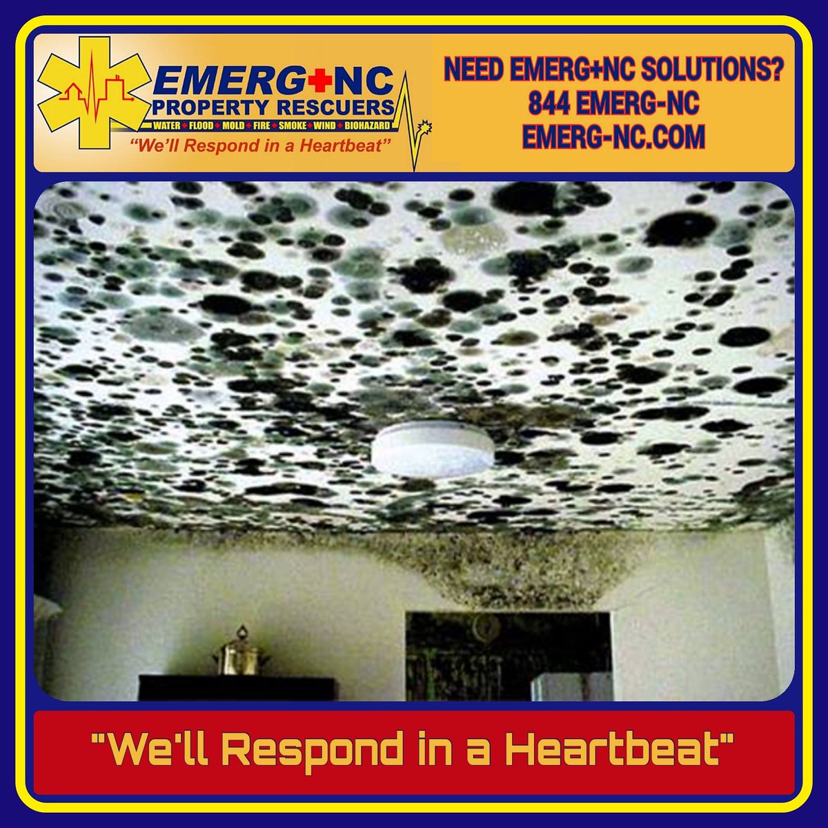EMERG_NC's tweet photo. #NeedWaterDamageHelp? #StandingInWater? For a Property Damage EMERG+NC Call 844 EMERG-NC! Consumer Direct Insurance Claim Services. #ItsYourChoice #WeWorkForYou #WeWorkWithAllInsuranceCompanies #emergency #property #damage via https://t.co/6izUfTQHYE https://t.co/y1m4k7ohXi https://t.co/EyS412J1P7