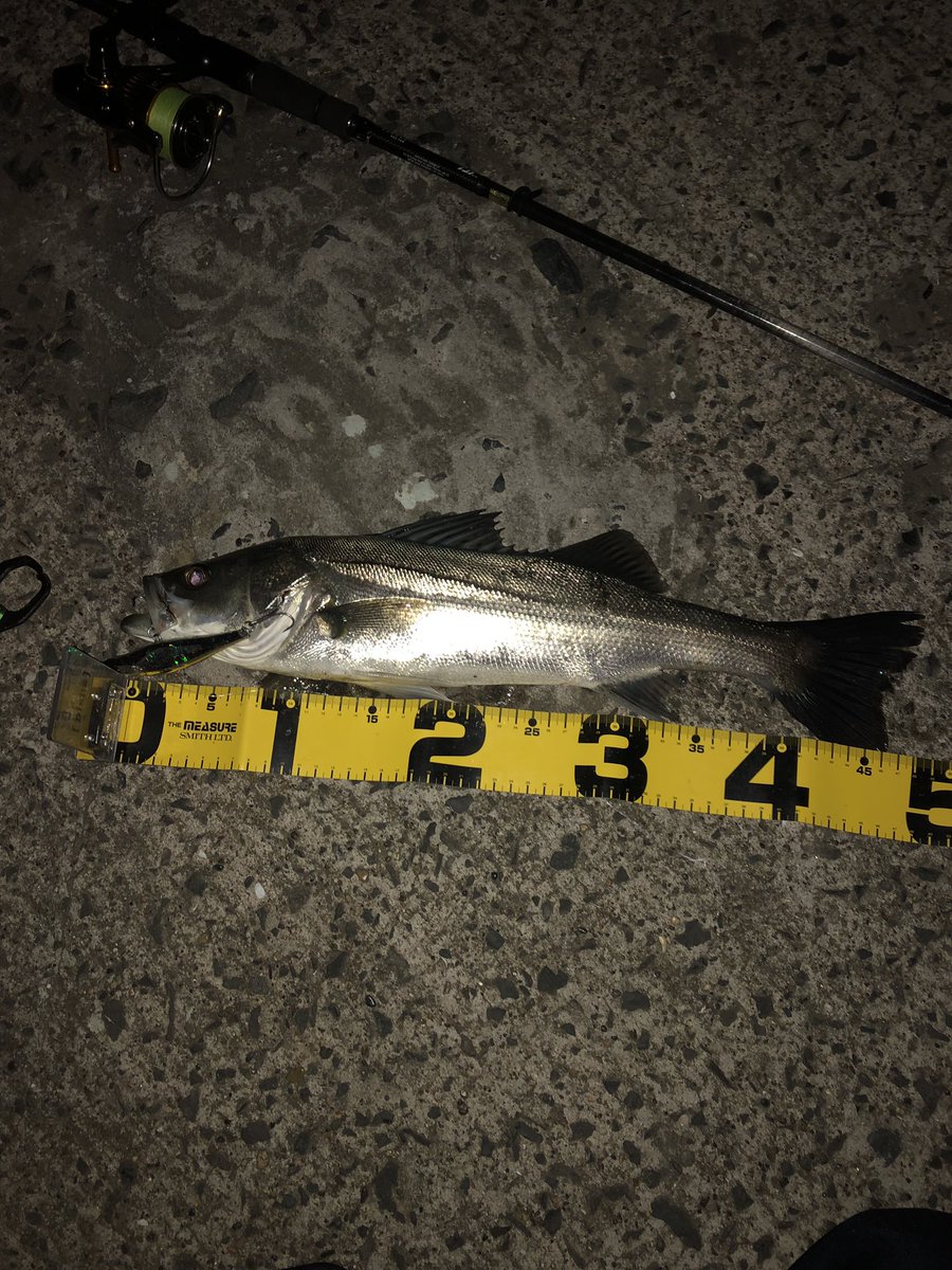 ラブラックス90m