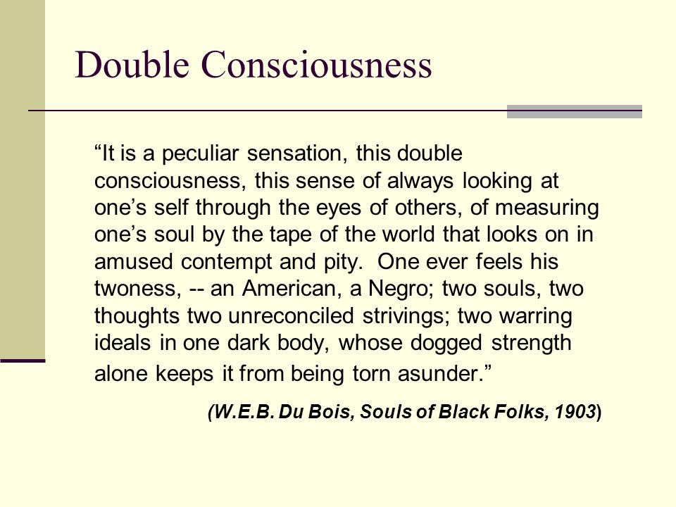double consciousness essay