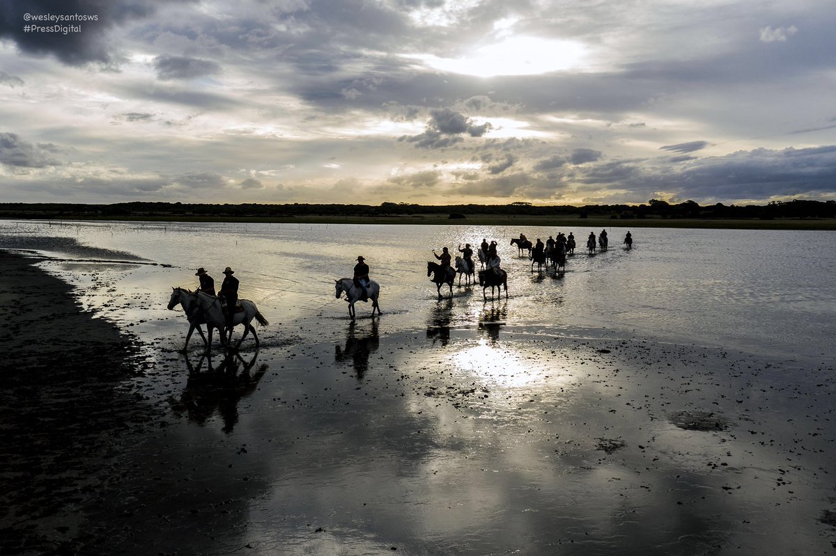wesleysantosws's tweet photo. Final da 21ª Cavalgada Haras Itapuã Sul.
Foram mais de 1200 fotos nestes 3 dias de Travessia da Lagoa dos Patos ao Mar Atlântico.
Recomendo passar o final de semana na região, lugar fantástico a beira da Lagoa do Peixe.
#cavalolusitano #DSL #cavalolusitano #lagoadopeixe https://t.co/OlNVGQd8Cz