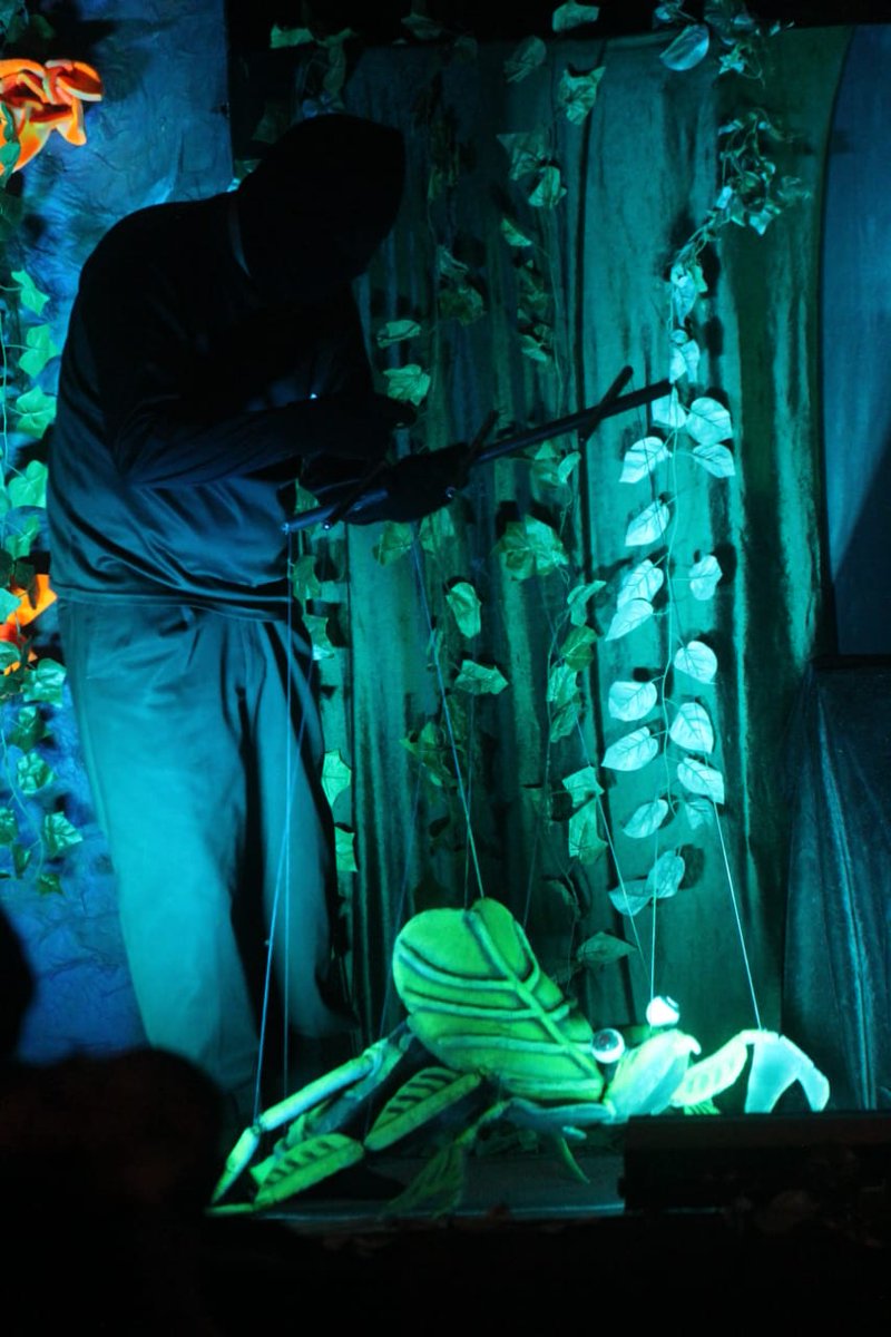 TolucaGob's tweet photo. Como parte de la oferta cultural que ofrece #Festiva2019, este domingo en el @CCToluca se presentó Verdeando Verdinegro, puesta en escena de títeres y marionetas que busca generar conciencia sobre el cuidado del medio ambiente. #JuntosEsPosible #TolucaCapital @JuanRodolfo_SG https://t.co/9x1bybY8dD
