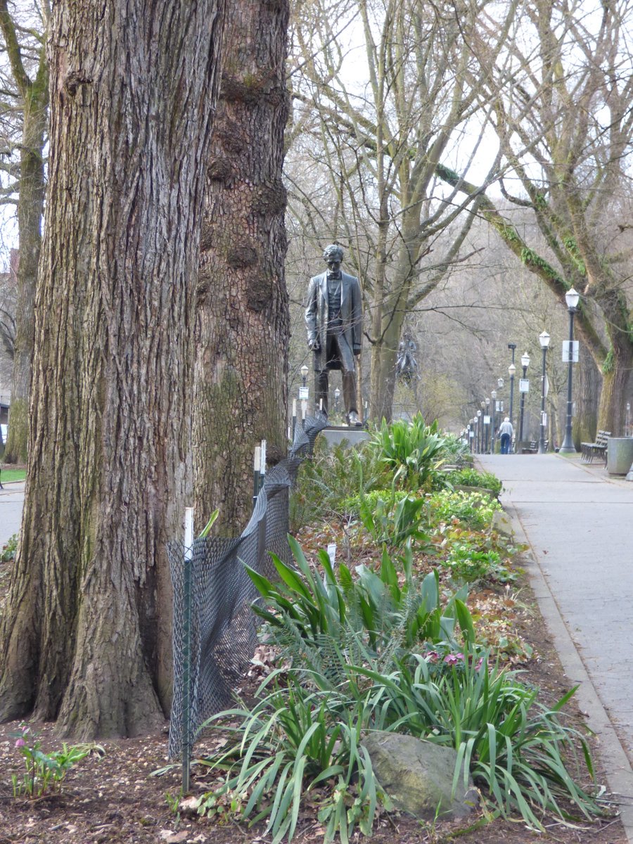 TravelerWeekend's tweet image. #Portland has two presidents in the #SWParkBlocks why this pairing is curious.  #TeddyRoosevelt &amp;amp; #Lincoln

 #StreetPhotographer #DayTrippingPortland  @DayTrippingPort
#Travel daytrippingportland.com  #PDX via @DayTrippingPort