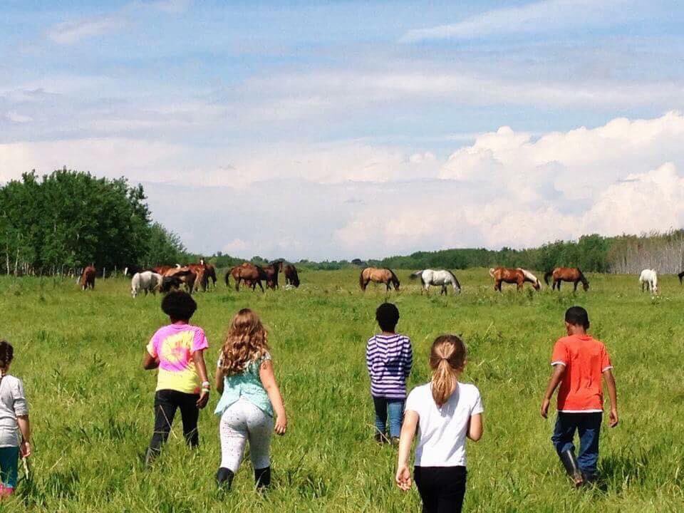 MGstablesWpg's tweet photo. Find your child’s happy place when you register them for Summer Camp at Meadow Green Stables! 🌞🐴

Full &amp; half day options available M-F during 9 available weeks, July 1 through August 30 2019

Find our registration form at https://t.co/5s3D7p2GAq

#SummerCamp #Winnipeg #Ywg https://t.co/WbTSHnpEC1