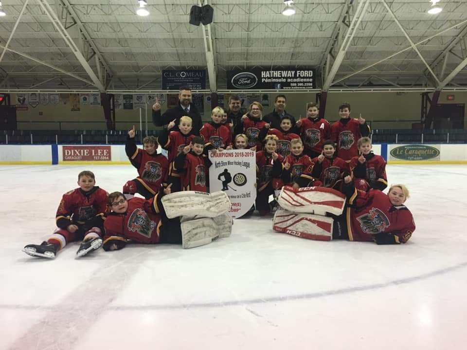 MiramichiMinor's tweet photo. Miramichi Wild are North Shore Minor Hockey League Atom champs. https://t.co/jqcF0vWIEi