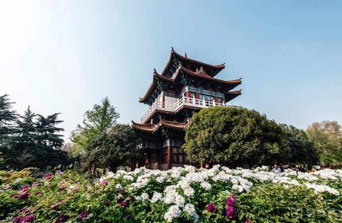 VisitLuoyang's tweet photo. No winter lasts forever; no spring skips it’s turn. Why not have an outing with your buddies? https://t.co/hzevJu3xpk