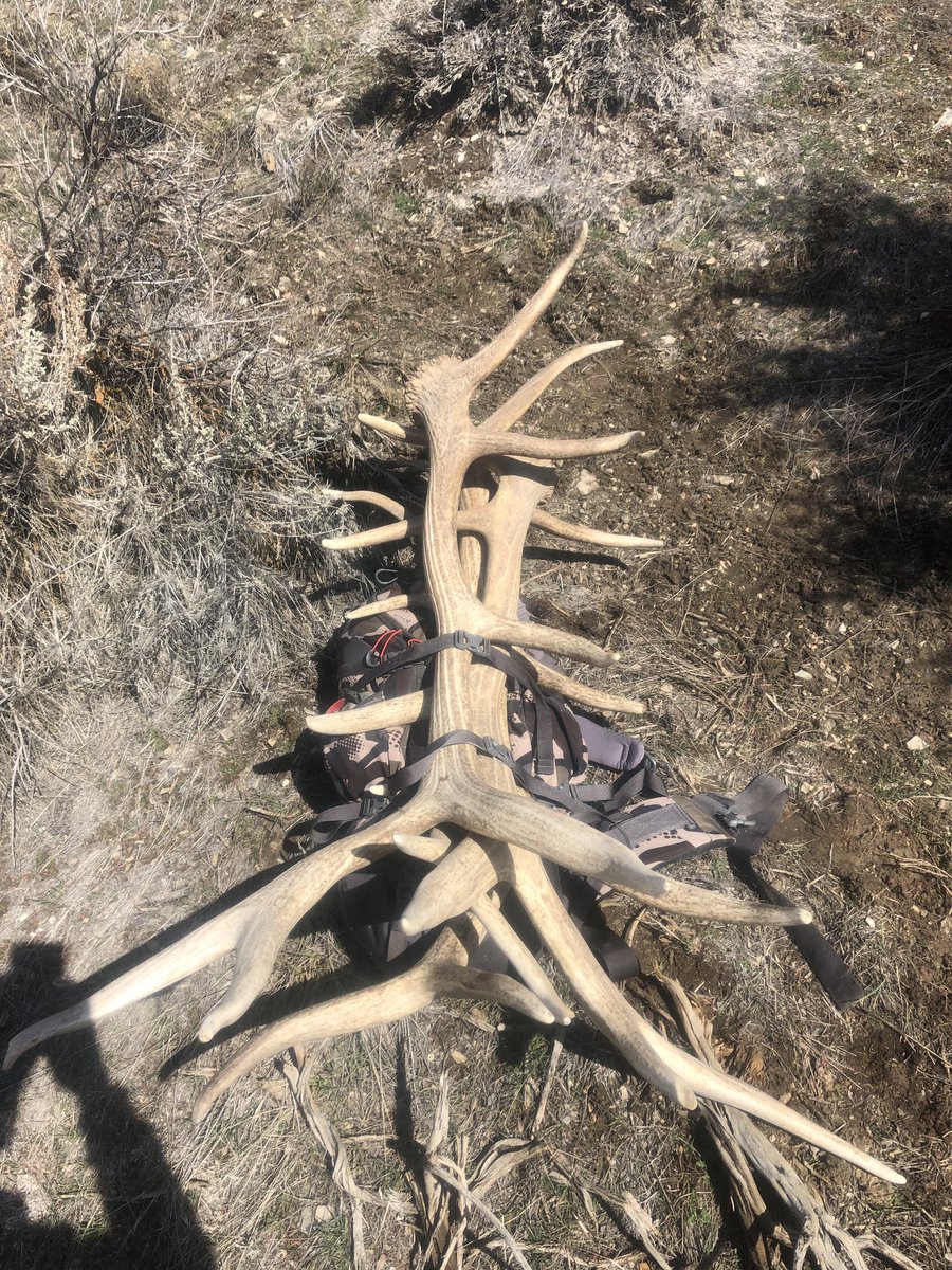 kodee_vining's tweet image. Now this is what spring break is all about right here. 
#kodeesurvivaltips