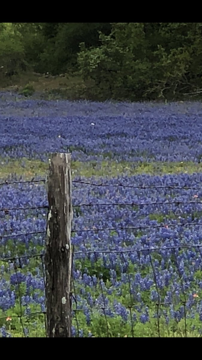 Jennifer Clawson (@ibling4me) on Twitter photo 