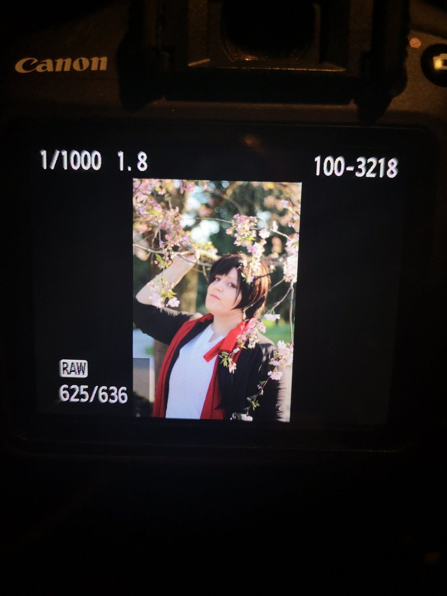 The_Priestess__'s tweet photo. Preview 🌸❤️
#toukenranbu #kashuukyomitsu #torabu #刀剣乱舞 #加州清光 #cherryblossoms #cosplay #cosplayer https://t.co/PU1P4bAivo