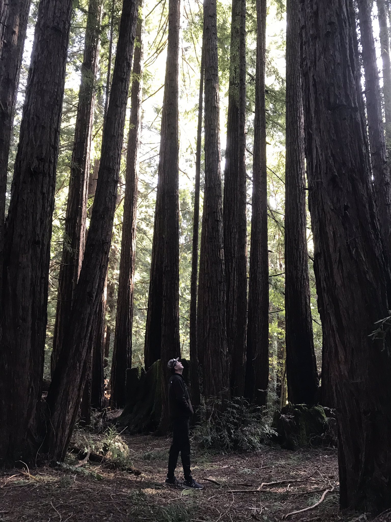 D2dD7zDU8AAMqjO.jpg:large