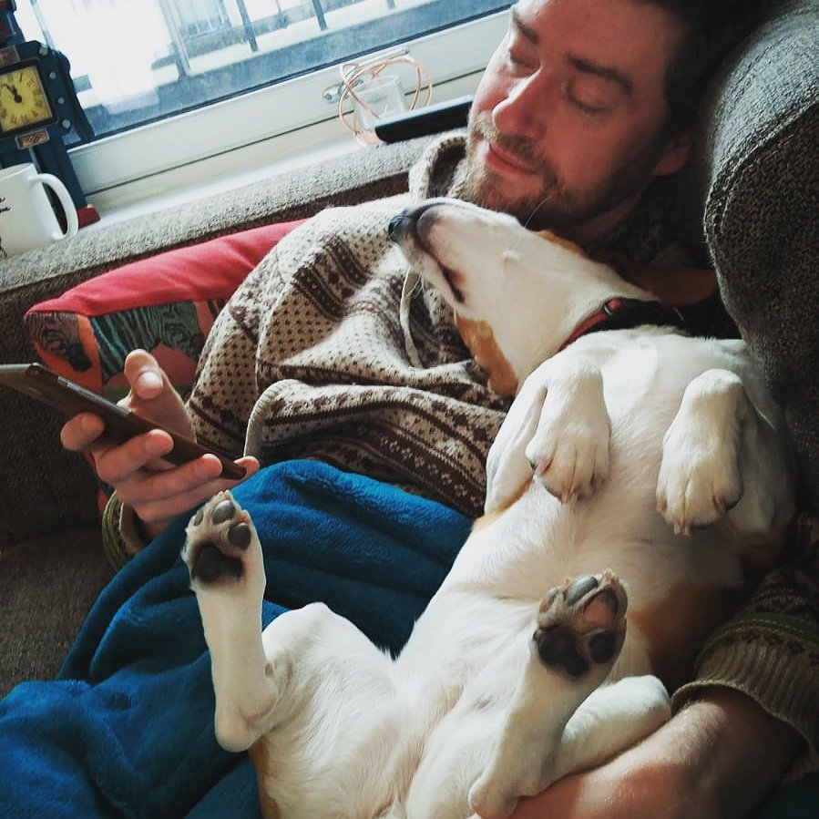 RioOfGlasgow's tweet image. This is one of my Hooman, he's comfy.

#CuddlesOnTheCouch #SofaSnuggles #FamilyPack #beagle #beaglepuppy #PuppyPower #puppiesmakeglasgow #RescueDog #dogslife #dogsofinstagram #dogstagram #puppygram #puppiesoftwitter  #instadog #dogsoftwitter #puppiesmakeglasgow #glasgow