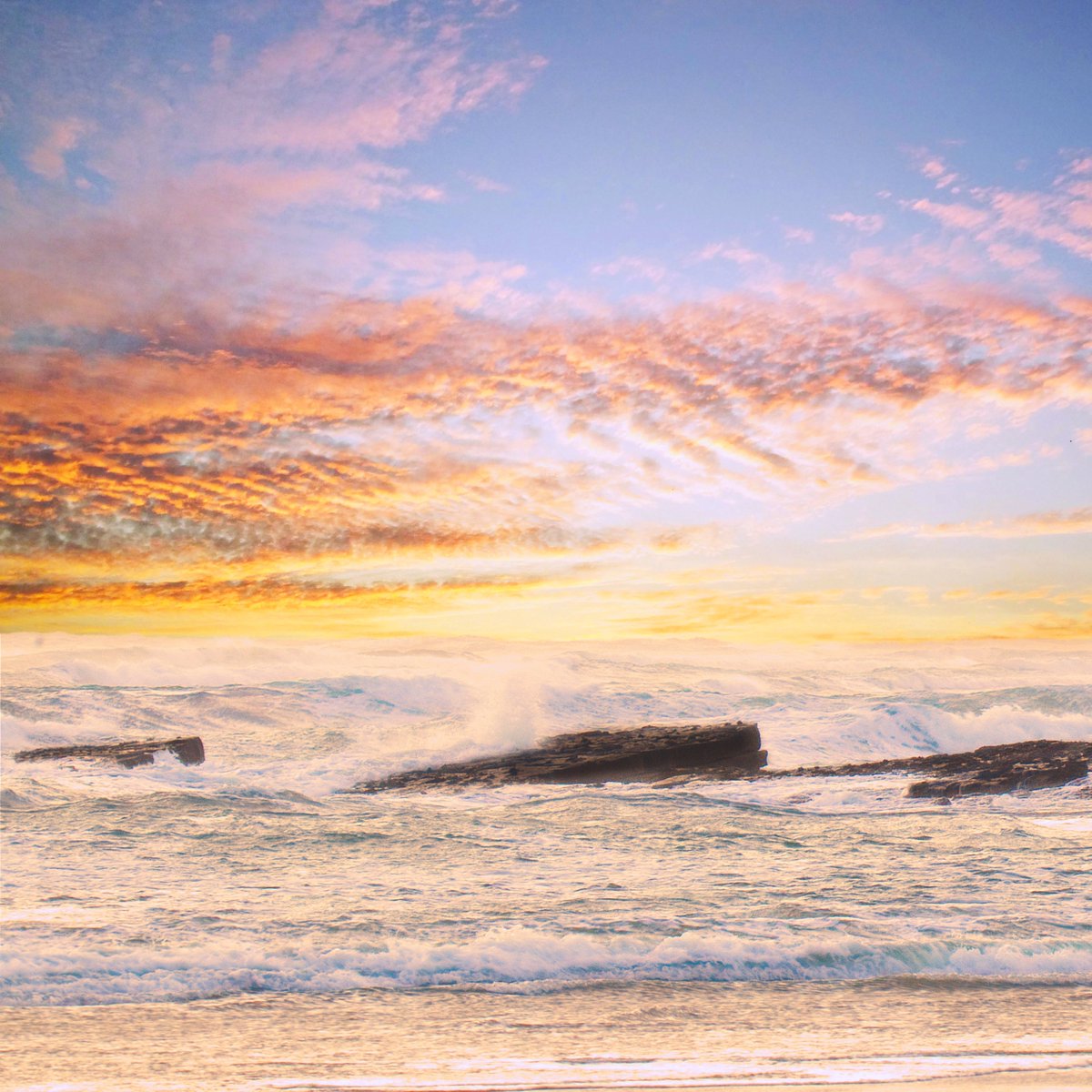 Stevoster tweet media