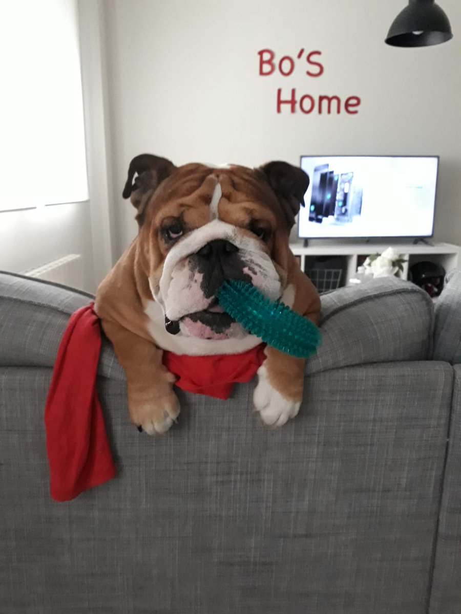 Yo intentando currar un poco hoy domingo