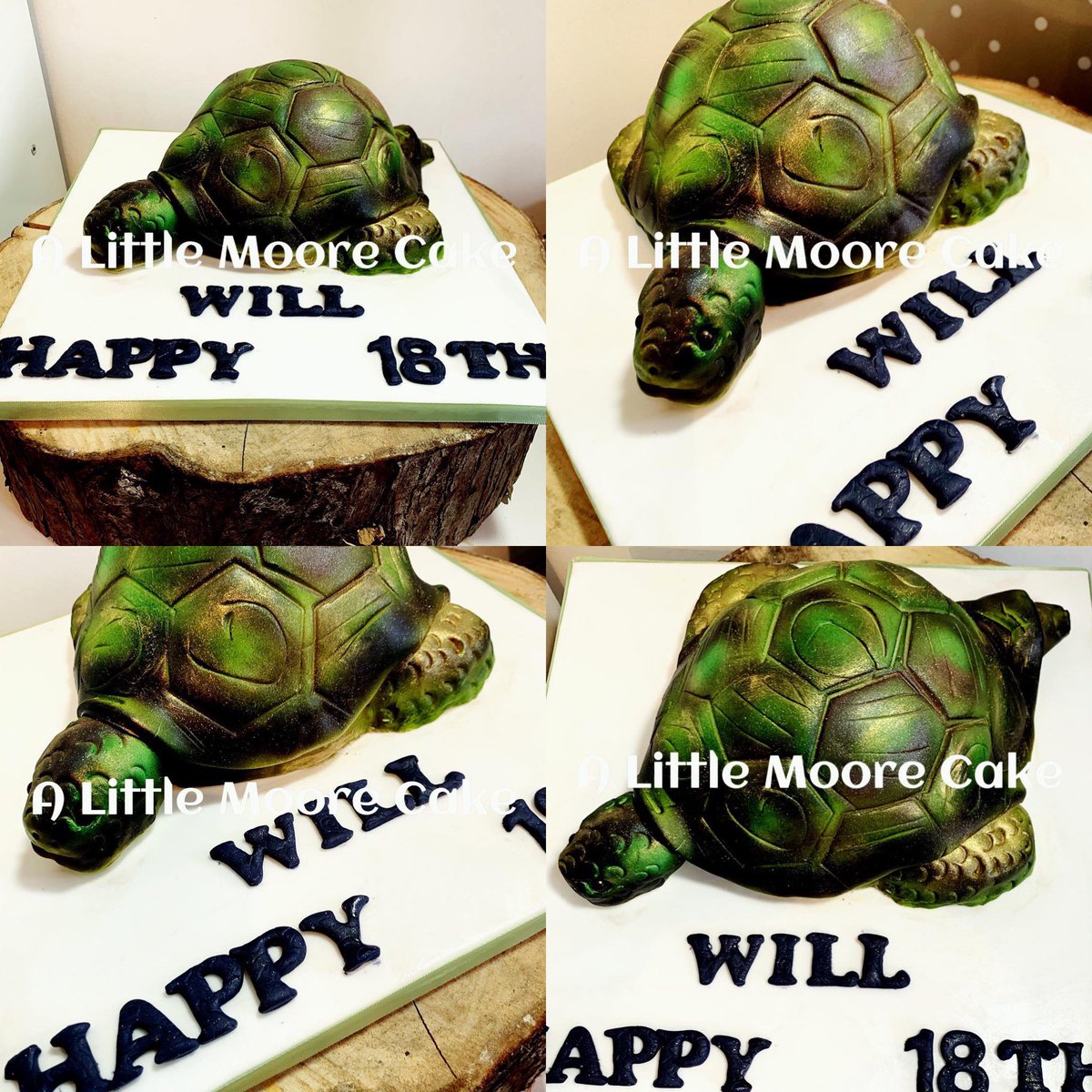 littlemoorecake's tweet photo. #cake #birthdaycake #cakesofinstagram #carvedcakes #terrapin #terrapincake #turtle #turtlecake #18thbirthday #animalcake https://t.co/wnZU5s3EwF