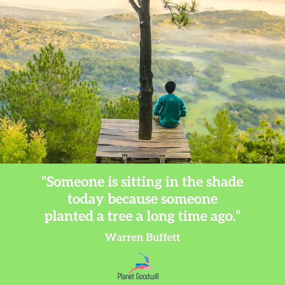 PlanetGoodwill's tweet photo. 🙌🌳 #quoteoftheday #quotestoliveby #quotes #quote #inspiring #environment #planet #people #wordsofwisdom #sustainability #sustainableliving #climatechange #socialimpact #nature #photooftheday https://t.co/FAEdo9rd8k