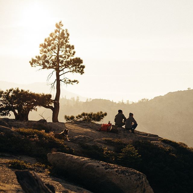 Golden hour, golden doggy, that's about all we need. ⁣
.⁣
.⁣
.⁣
#strapinventureout #arcadebelts ift.tt/2HRlbSE