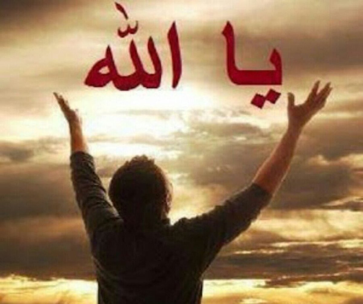 bahaaahmed2022's tweet photo. من  أراد  أن  يحيا  بستر  الله  .  فلا  يكشف  سِتر  أحد  .  ما أعظم  ستر  الله  .  اللهم  لا  تحرمنا  سترك  . وارزقنا  عفوك  .  واغفر لنا .  اللهم  آمين https://t.co/oU4IVJFvAR