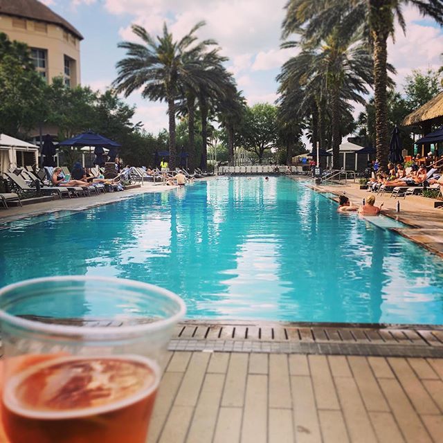 asteeper's tweet photo. The calm before the storm! #worktrip #poolside https://t.co/ubjMatmjU4 https://t.co/RavFvbiURr