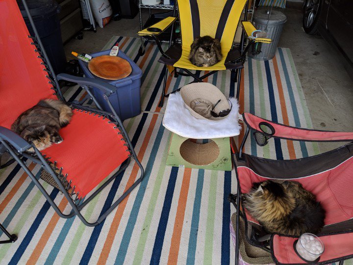 John Weithman tweet media