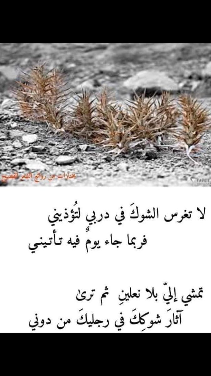 تاريخنا العظيم On Twitter لا تزرع الشوك في أرض مشيت بها فربما مررت بها يوما حافي القدمين وفي ذلك يقول الشاعر تاريخنا العظيم
