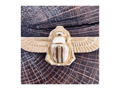 evesomeparis's tweet photo. Evesome beatle pin: Evesome cashmere &amp; tweed accessories made in France https://t.co/j3vl5f3Aip  Accessoires en cachemire et tweed Evesome fabriqués en France
Contact : Eve de Rothiacob +33 6 23 08 86 38 eve@evesome.com
Show room : 4 place Edmond Rostand 75006 Paris #evesomeparis https://t.co/K4kNrfblJQ