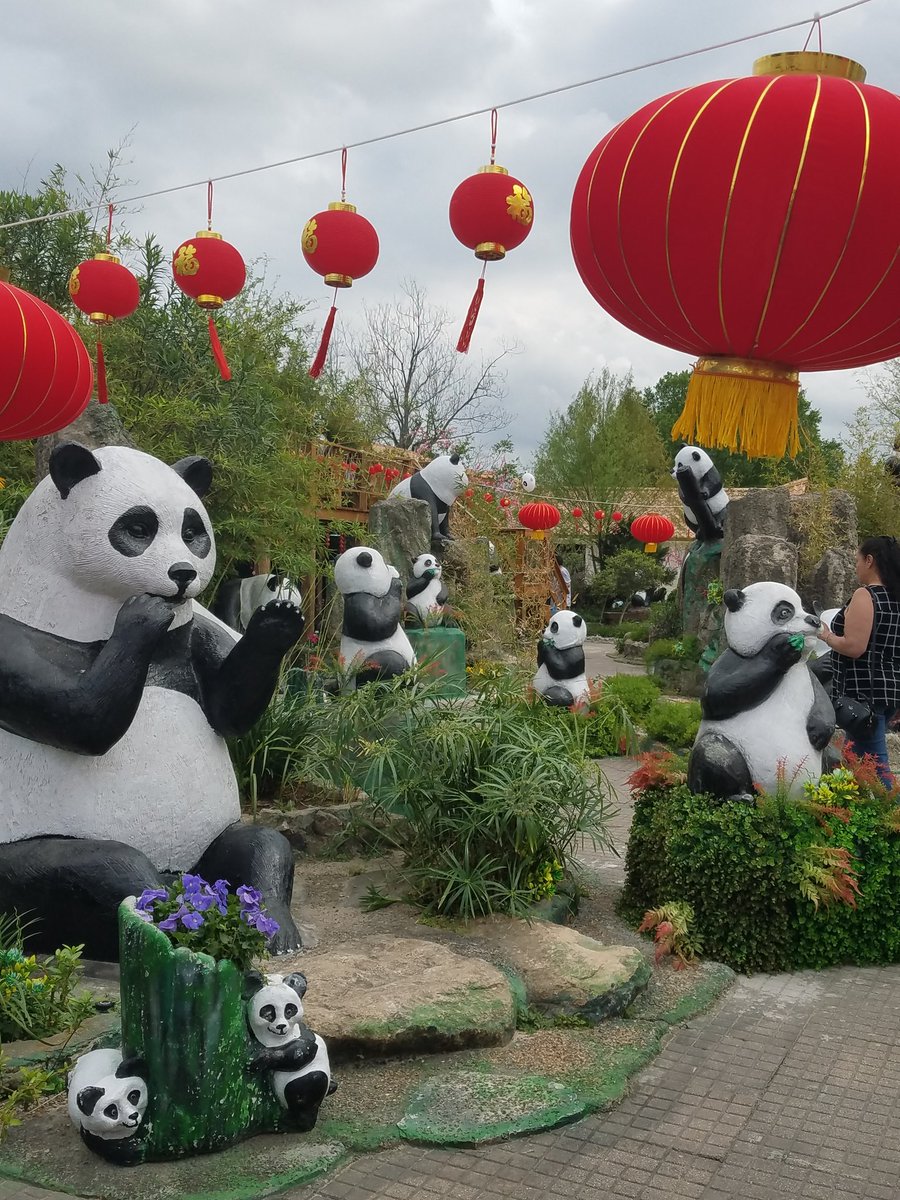 auntie_social's tweet image. From Kite Fest to Panda Fest, its festival season in Houston. #PandaFest
