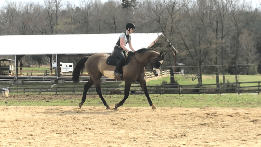 SaltyEquestrian's tweet photo. 36.69 MPH, Lessons, and SUNSHINE! https://t.co/Jp8unuKHyc https://t.co/OHDHbh033O