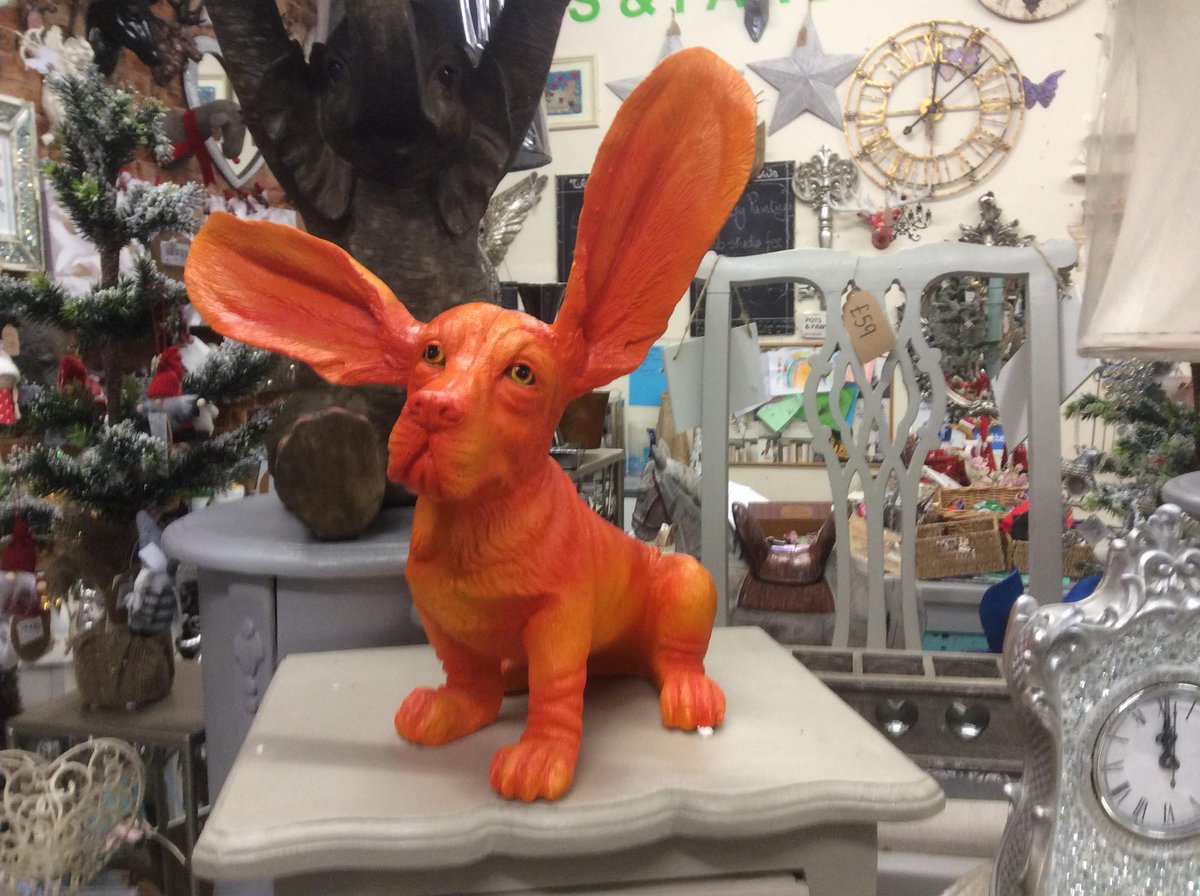 PotsPaws's tweet image. We love our #dogs in @PotsPaws open 10- 5 every day in #rothbury