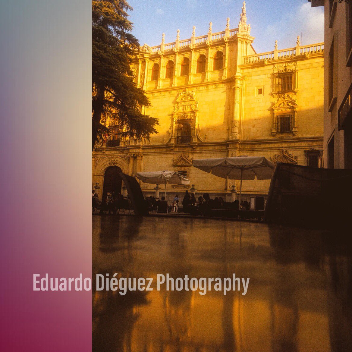 EduDieguezPhoto's tweet photo. Sunday's. Lights. Cisneriana University. Proud to be alcalaino. Proud to be Spanish #proudtobespanish
#madrid #spain #alcalaphotographer #spanish #tree #complutense #proudtobespanish #spainunit  #alcaladehenares #uah #elbefelhotel #worldheritage #cisnerianauniversity #reflection https://t.co/nbiLLQeZ0B