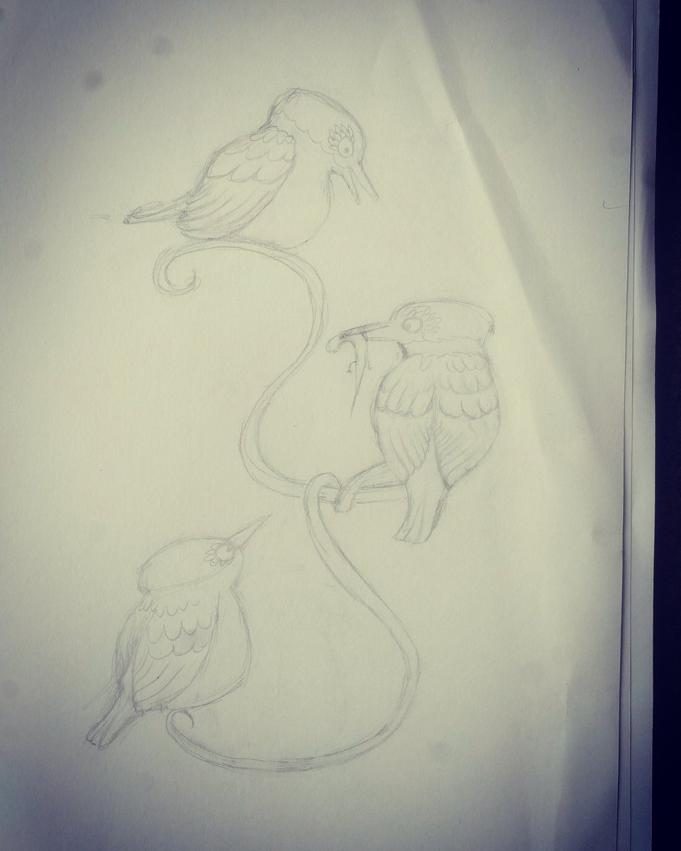 Working on another NZ bird picture 😁
#illustration #illustrator #birds #nzbird