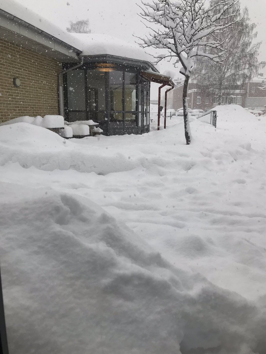 shadowsqueenie's tweet image. 1,5 months between the pictures❄️🌱

#Sweden #WinterVSSpring #SaveShadowhunters #Shadowhunters