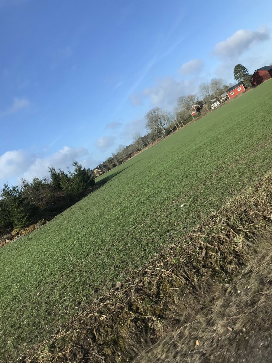 shadowsqueenie's tweet image. 1,5 months between the pictures❄️🌱

#Sweden #WinterVSSpring #SaveShadowhunters #Shadowhunters