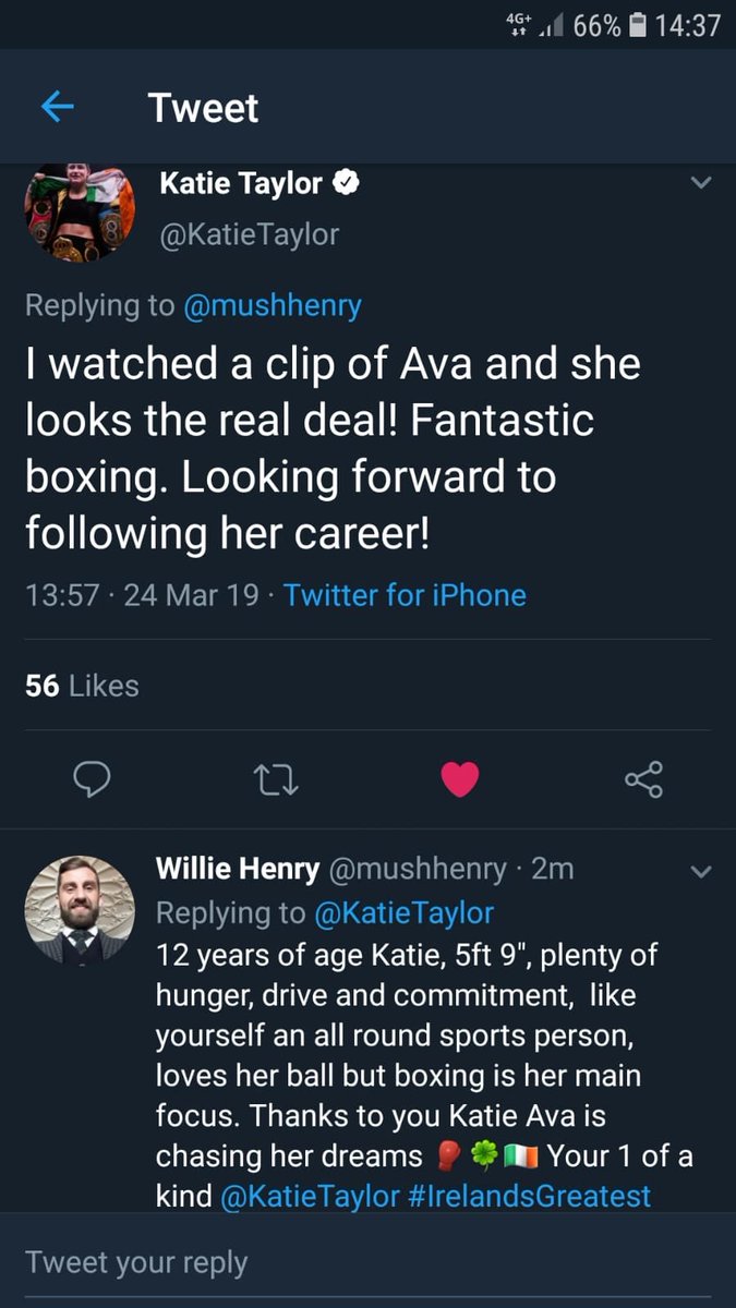 Ava_boxing tweet media