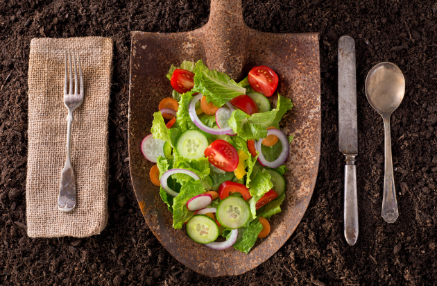 “The more you cook, the more you eat, the more you do your homework, the better the world becomes.” -Michael W. Twitty | <a href="/KosherSoul/">Michael W. Twitty</a> 
<a href="/BlueCrossNC/">Blue Cross NC</a> |#GoThriveNC
blog.bcbsnc.com/2017/05/chef-m…