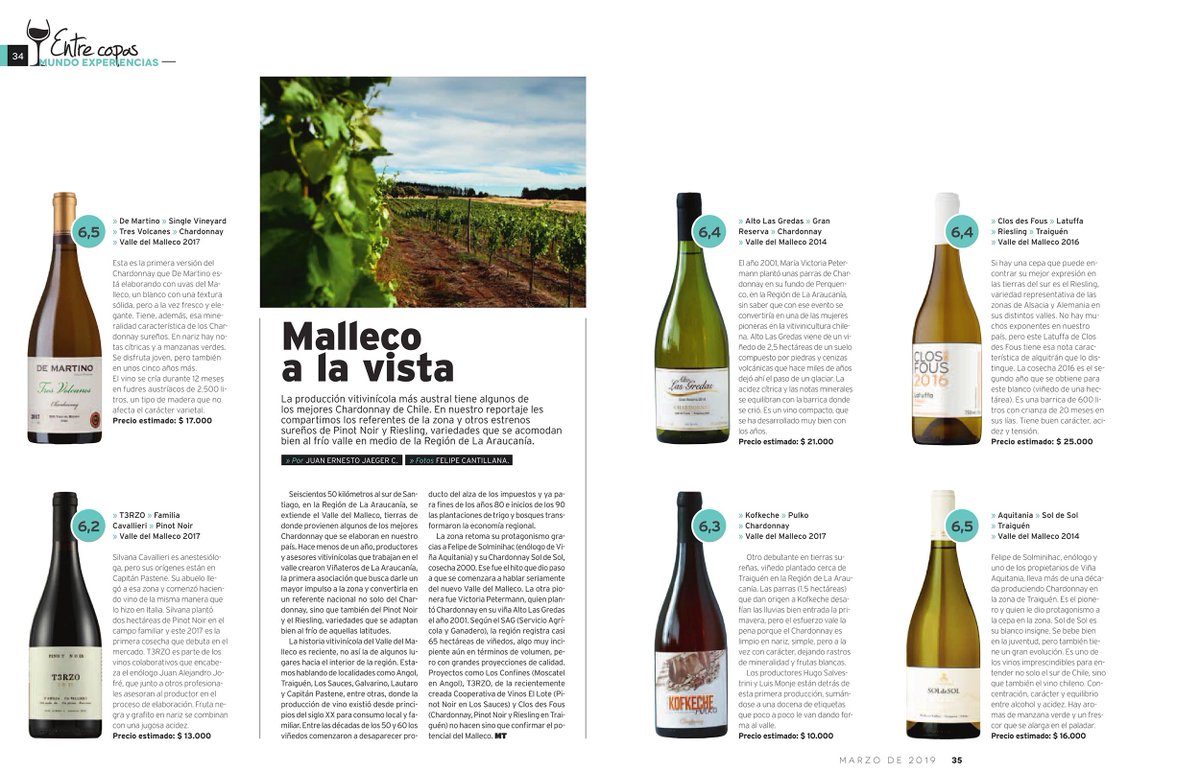 traiganvino's tweet photo. MALLECO A LA VISTA mi nota en @MTLaTercera con algunos de los referentes del valle sureño zona de donde provienen algunos de los mejores #Chardonnay de Chile. Versión en papel digital ▶️PAG 34-35 https://t.co/bejUnbEqKG #terzo #tresvolcanes #soldesol #altolasgredas #closdesfous https://t.co/f4DxTXPsuV