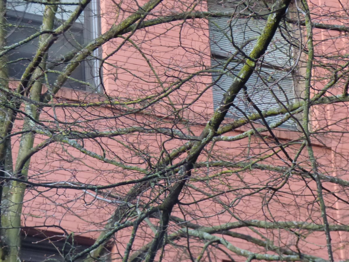 TravelerWeekend's tweet image. #Portland - Sadly, soon to be destoyed for a highrise.  
#StreetPhotographer #DayTrippingPortland #Oregon @DayTrippingPort
#Travel daytrippingportland.com #PDX via @DayTrippingPort