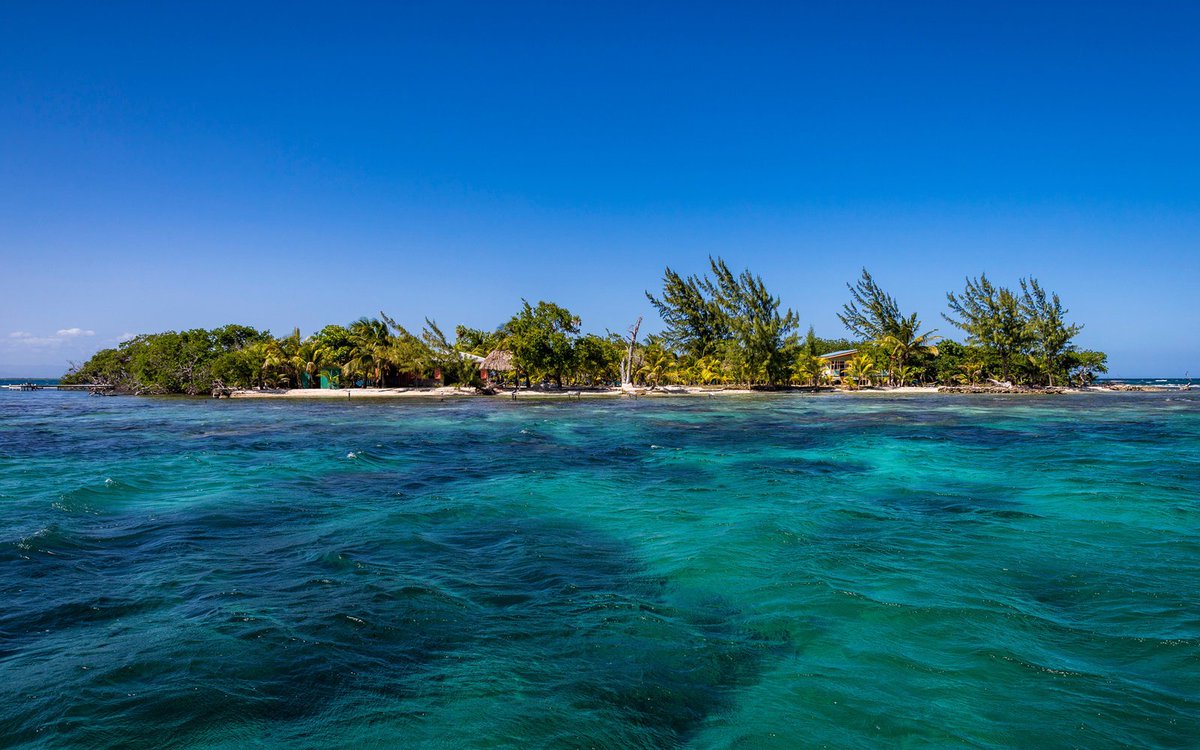 diveplex's tweet image. List some breath taking Dive Sites or upcoming Expeditions on our Fast growing Nationwide site diveplex.com for free! #scubadiving #scuba #Diving #expeditions #breathtakingsites