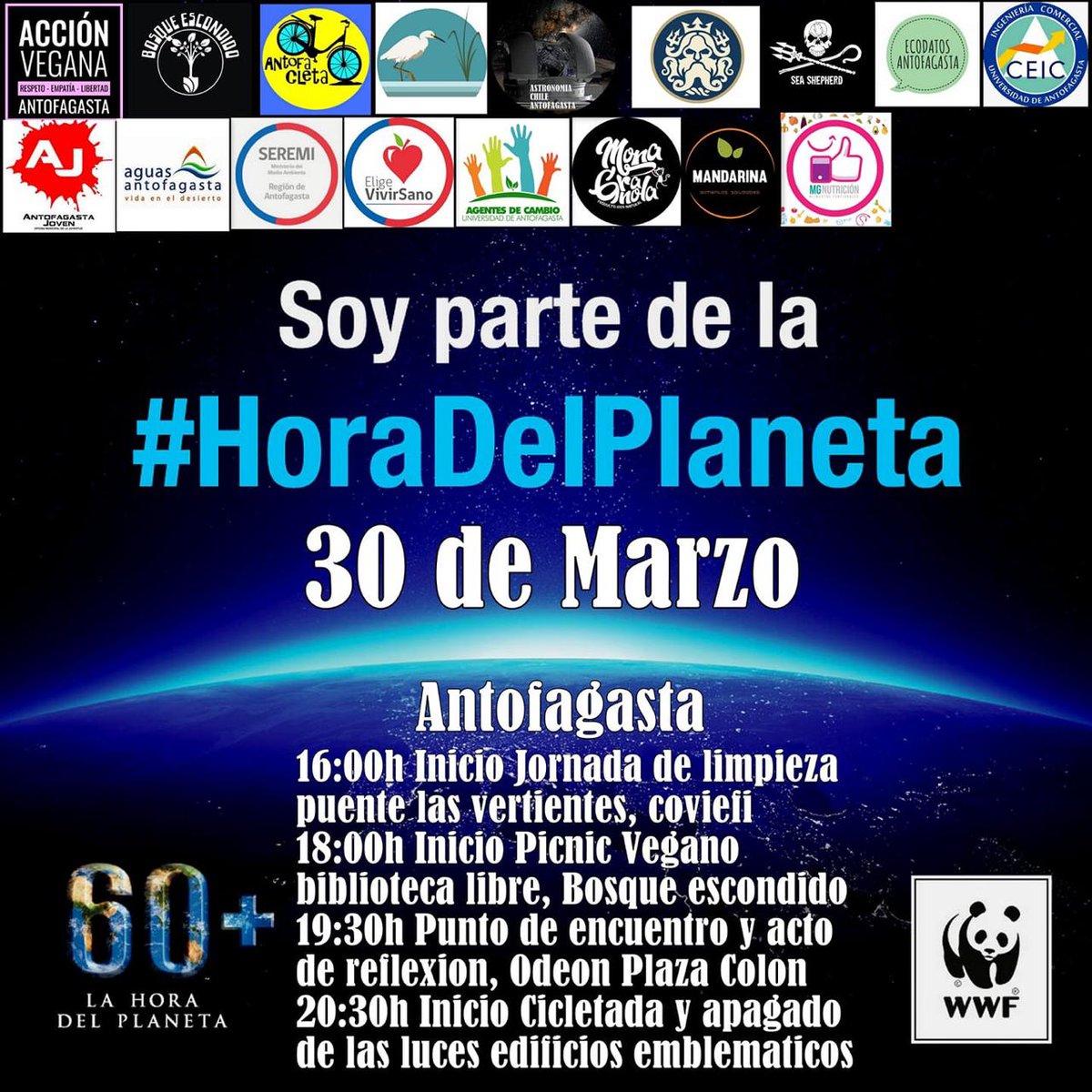 Sea Shepherd Chile tweet media