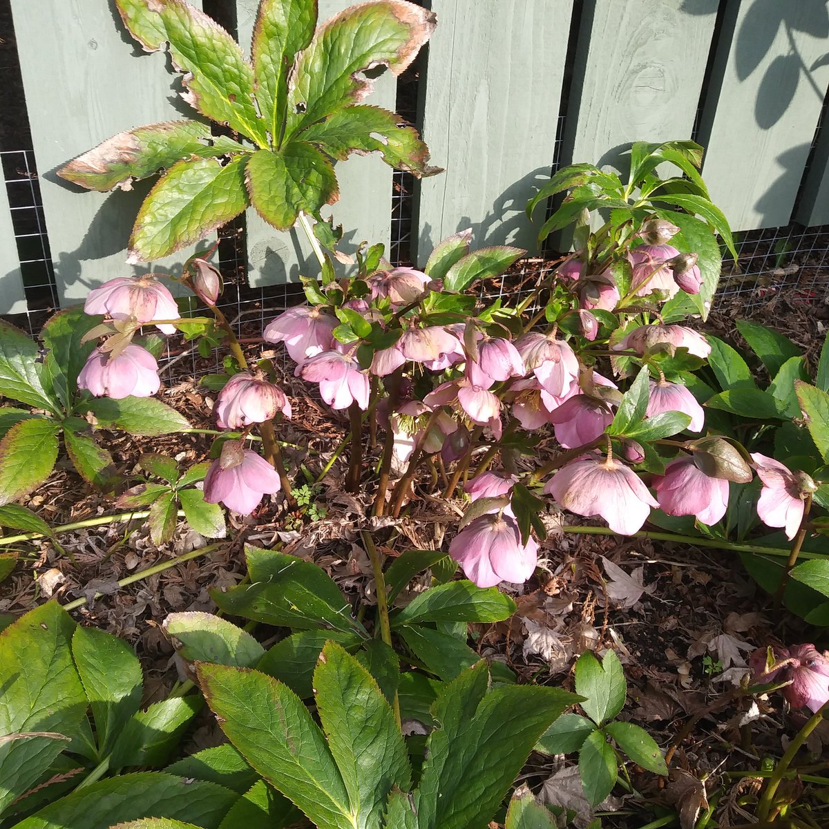 Jensenkpj's tweet photo. Everyone's happy in #Spring https://t.co/m1WMWm0eDJ
