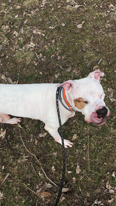 W.A.Y.S.’s pics and videos