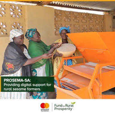 FRP_prosperity's tweet photo. PROSEMA-SA (Promotion du sésame du Mali), is implementing an innovative and multipurpose digital solution to tackle the challenges of thousands of farmers in Mali &amp; improve the sesame value chain for the benefit of the farmers &amp; their families. Read more https://t.co/UPAjtV8BBR https://t.co/XuAl0BG8gJ