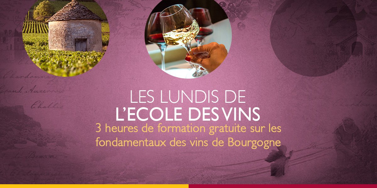 VinsdeBourgogne's tweet photo. Acteurs du #tourisme #Serveurs, #saisonniers, #chefsderang ? ๐ด๐ท
Formez-vous gratuitement aux vins de #Bourgogne lundi prochain ร Mรขcon ! Quelques places sont encore disponibles ! #Formationvin
๐ https://t.co/RMxfDGu850 https://t.co/tysp1BfLuw