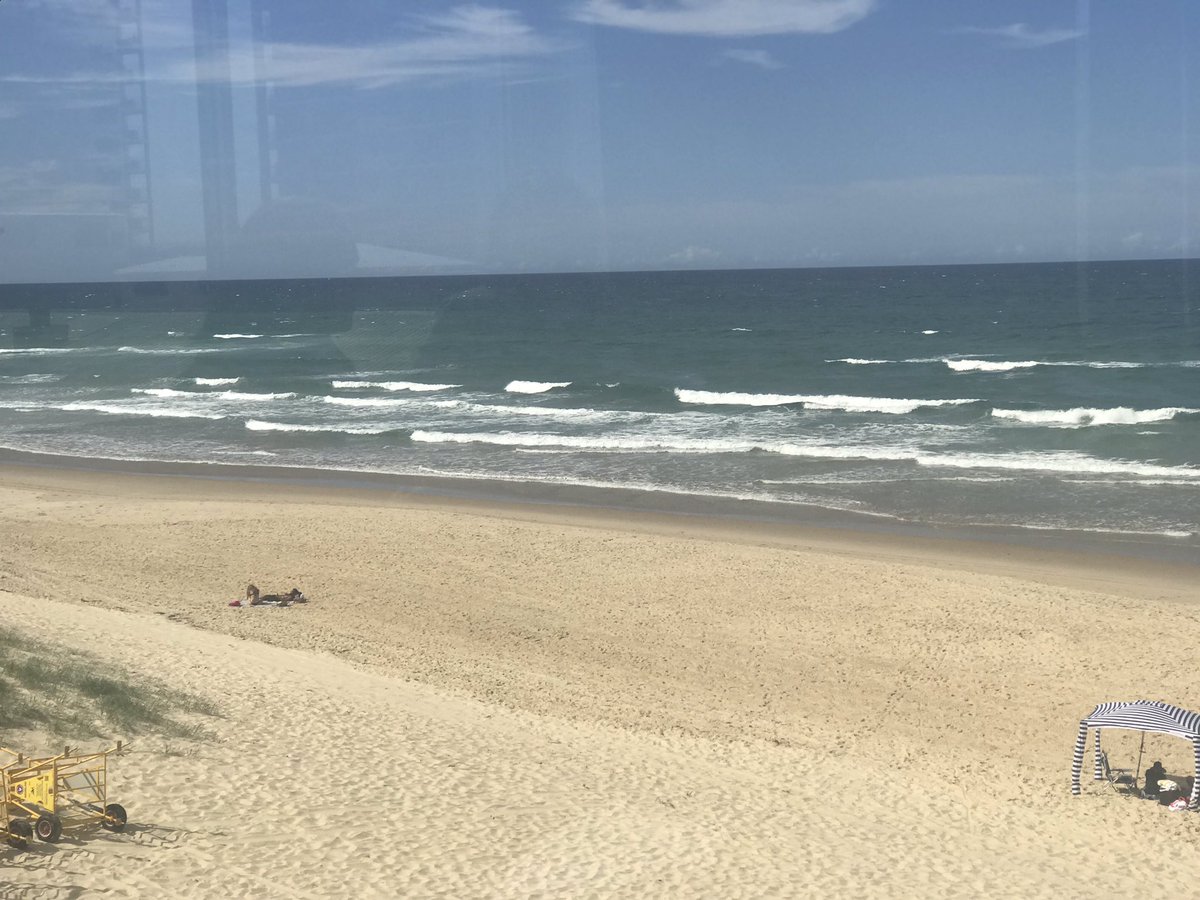 Stafford Shepherd tweet media