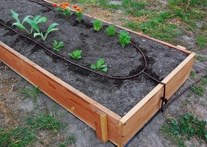 GebCoPtyLtd's tweet photo. Save #Water in Your #Garden
Water Pots:Afternoon & your Garden:Morning
Harvest Water
* Install water tank #rototank
* Save your Cooking Water
* Reuse Fish Tank Water
* Use #Compost #3sixtysa
#Waterwise Pot & Container Gardening
Mulch
#Weather
Avoid Overwatering
* Drip Irrigate https://t.co/fGDF7pZGHz