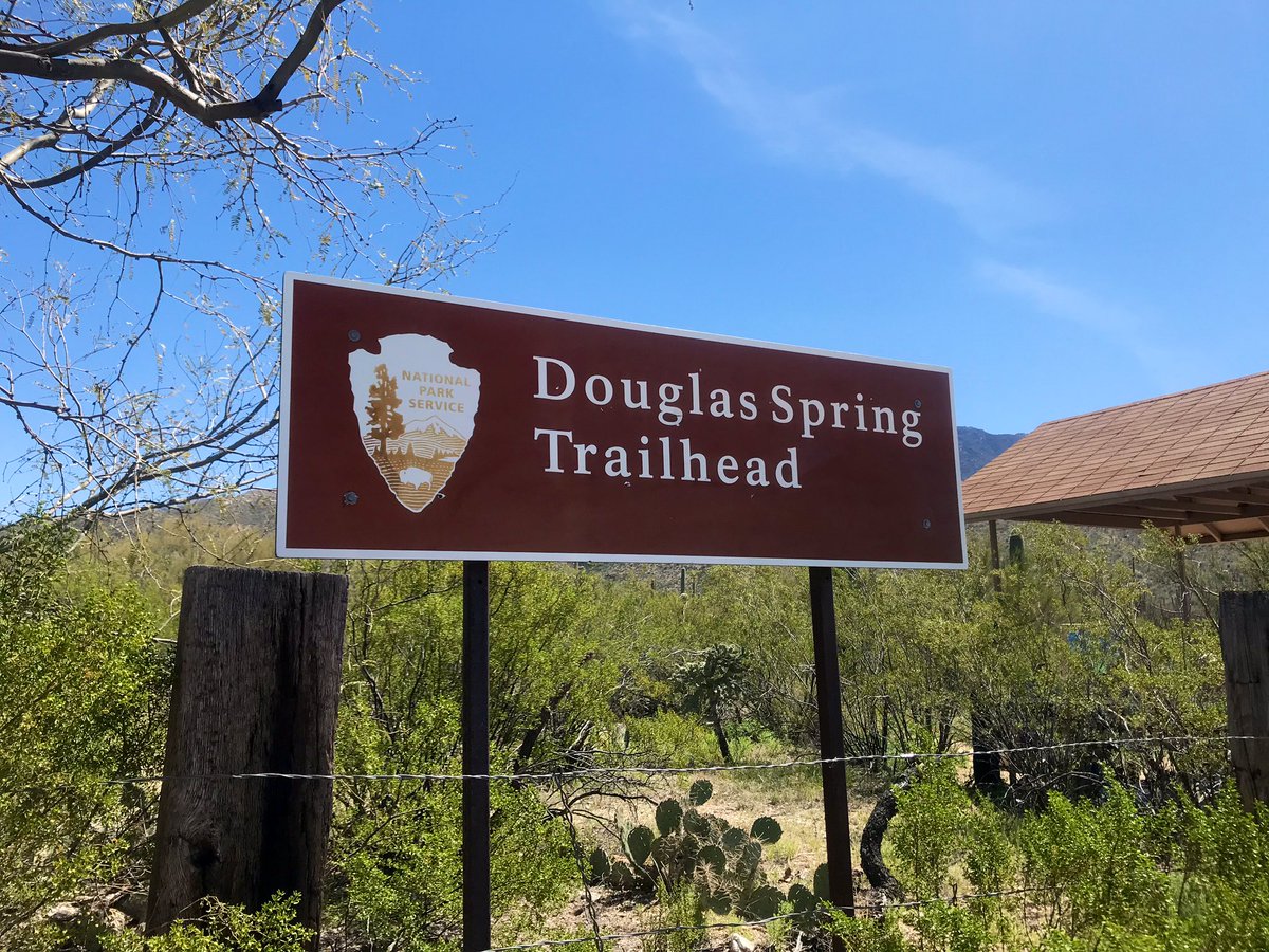 1NativeSoilNerd's tweet photo. Fun 17 mile trail run with 3,300 elevation gain into the Rincon Mountains (Cew Du’ag) this morning, complete with manzanita and desert thistle plants blooming, and the streams flowing. It started to get pretty hot towards to end of it-summer is on its way 😅😅#exploretucson https://t.co/uuTAjjkl7s