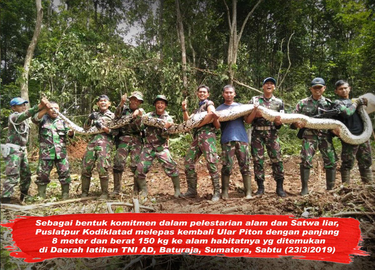 Puspen_TNI's tweet photo. Pelestarian Alam Sangatlah Penting Untuk Generasi Mendatang Bangsa Indonesia....TNI Berkomitmen Terhadap Hal Tersebut..... 😎💂 #TniPeduliLingkungan https://t.co/RvPCTytcEF