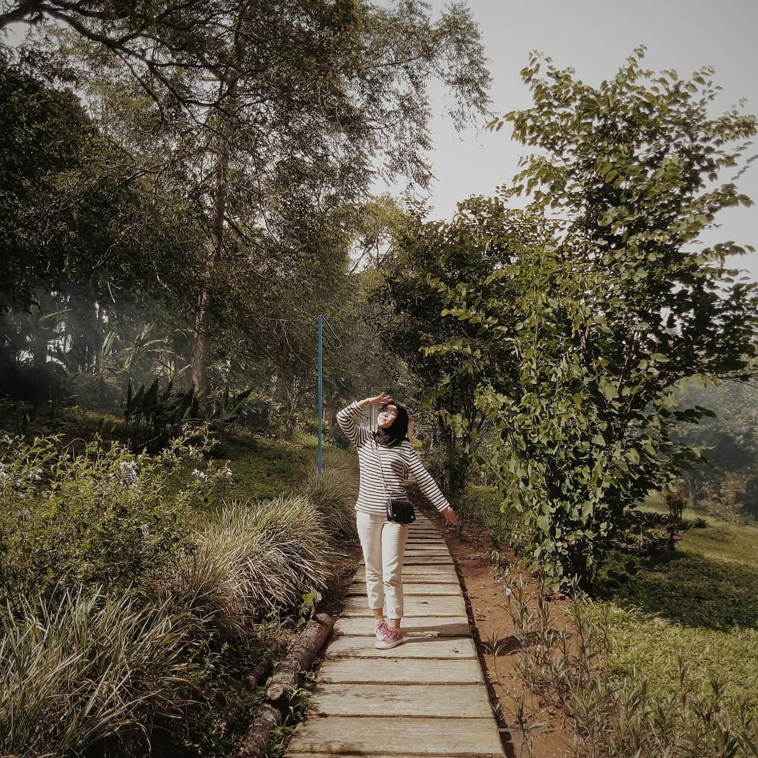 Bukit Baros (@bukit_baros) on Twitter photo 